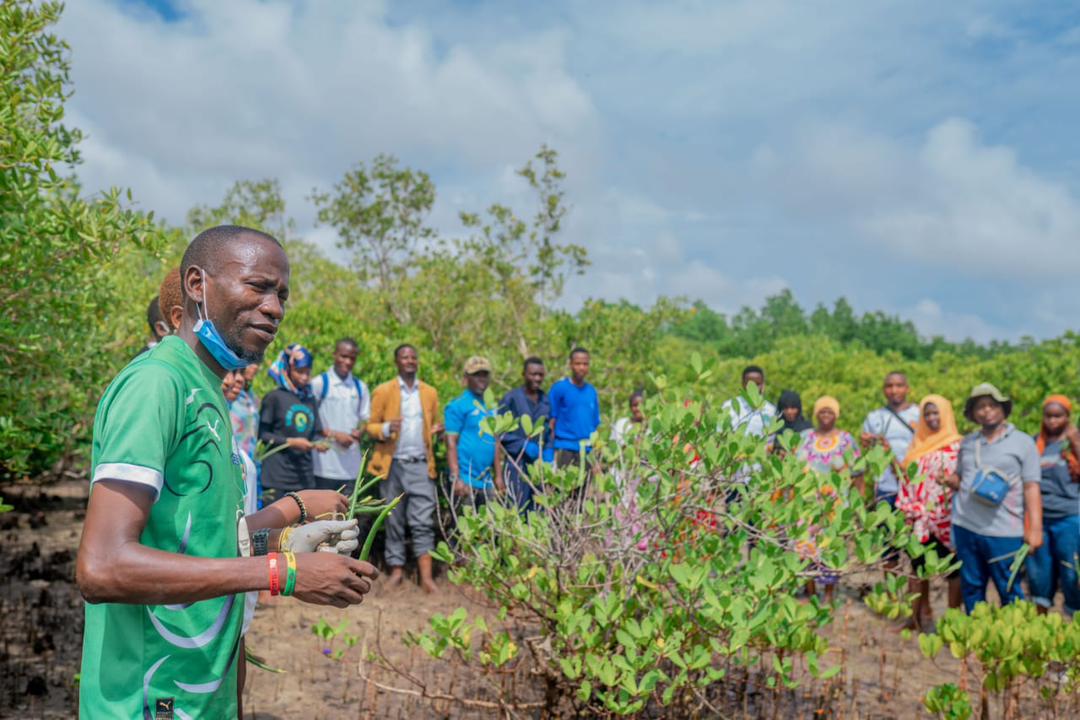 Mangrove cleanup a way of ensuring they keep supporting erosion prevention and protecting coastal areas in extreme weather conditions.